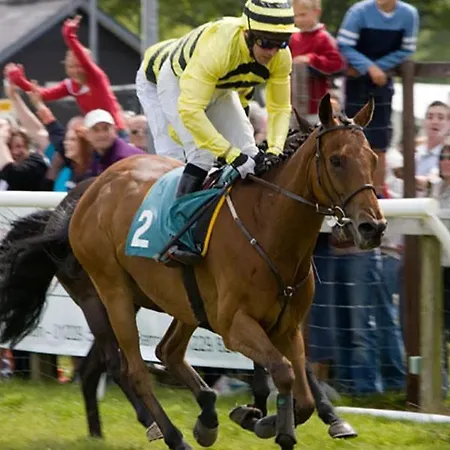 Semesterbostad Tipsy Gin