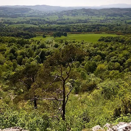 Tipsy Gin Crosthwaite